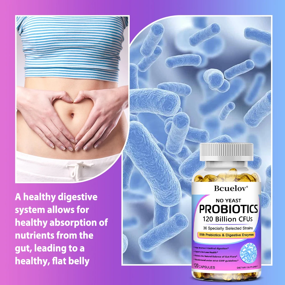 Digestive Enzymes+Probiotics,P - огляд і ціна Meal Prep Co